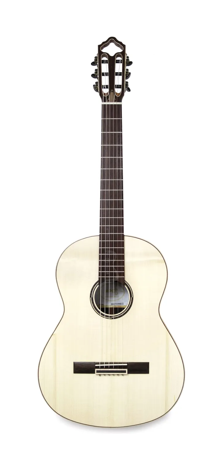 APC CGS 312 Gitarre massiv Palisander Koffer