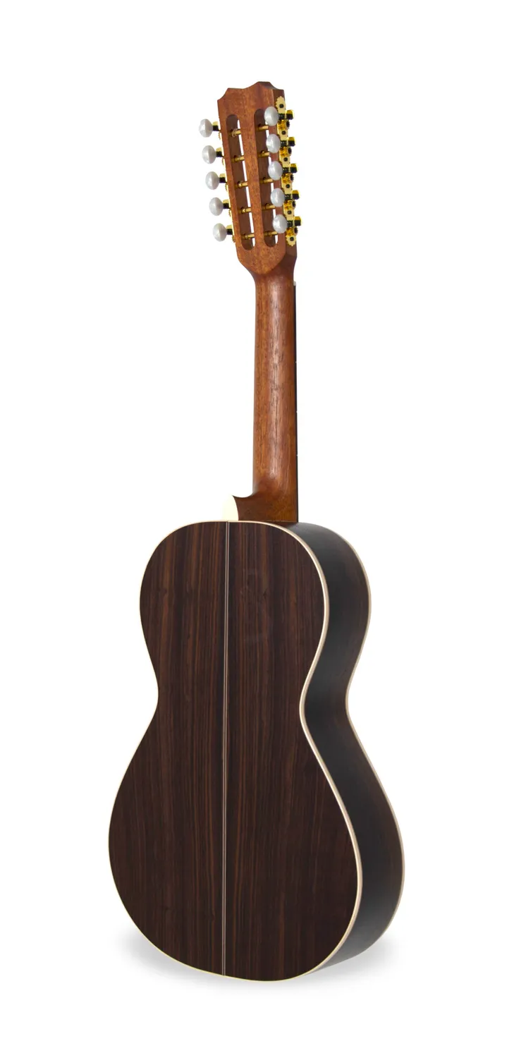 APC BRG Luthier Braguesa massiv Palisander