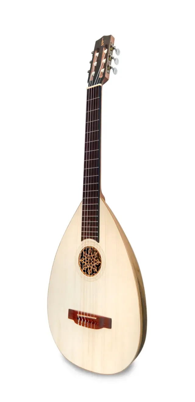 APC LUTG 306 Gitarre Walnuss massiv