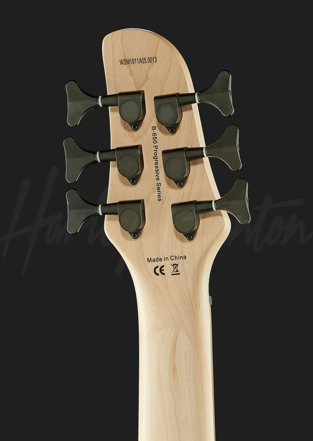 Harley Benton Pro B-650FL E-Bass Black 6-Saiter Fretless