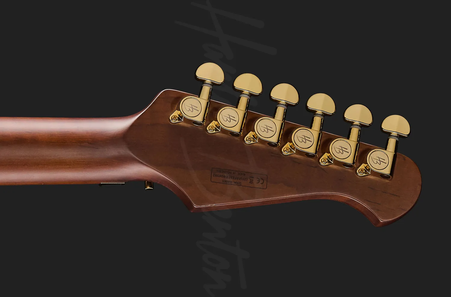 Harley Benton Guitar MAX Fusion Signature E-Gitarre lila
