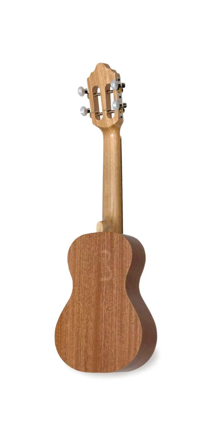 APC CAV Birabaile Cavaquinho Fichte Nussbaum