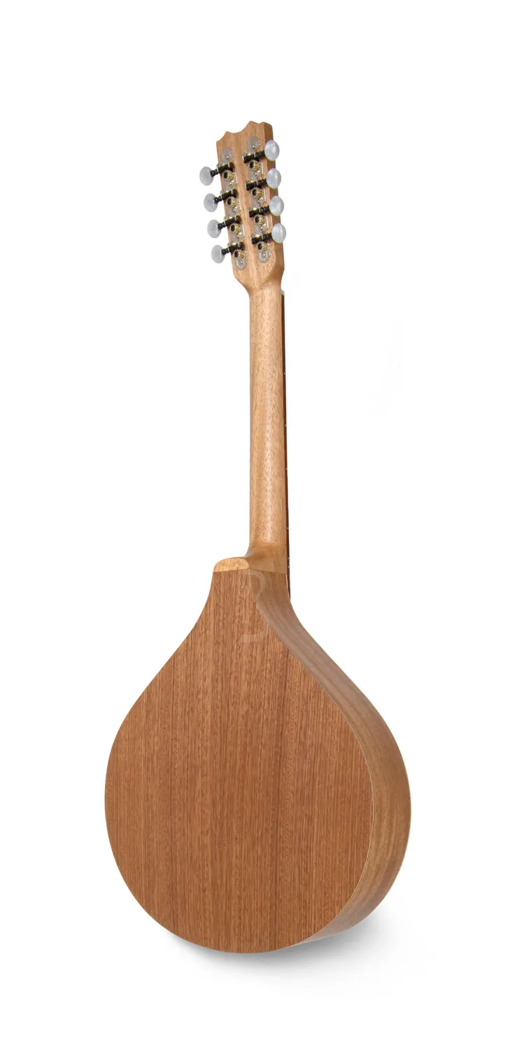 APC MOC305 Mandoloncello Fichte Sapelli