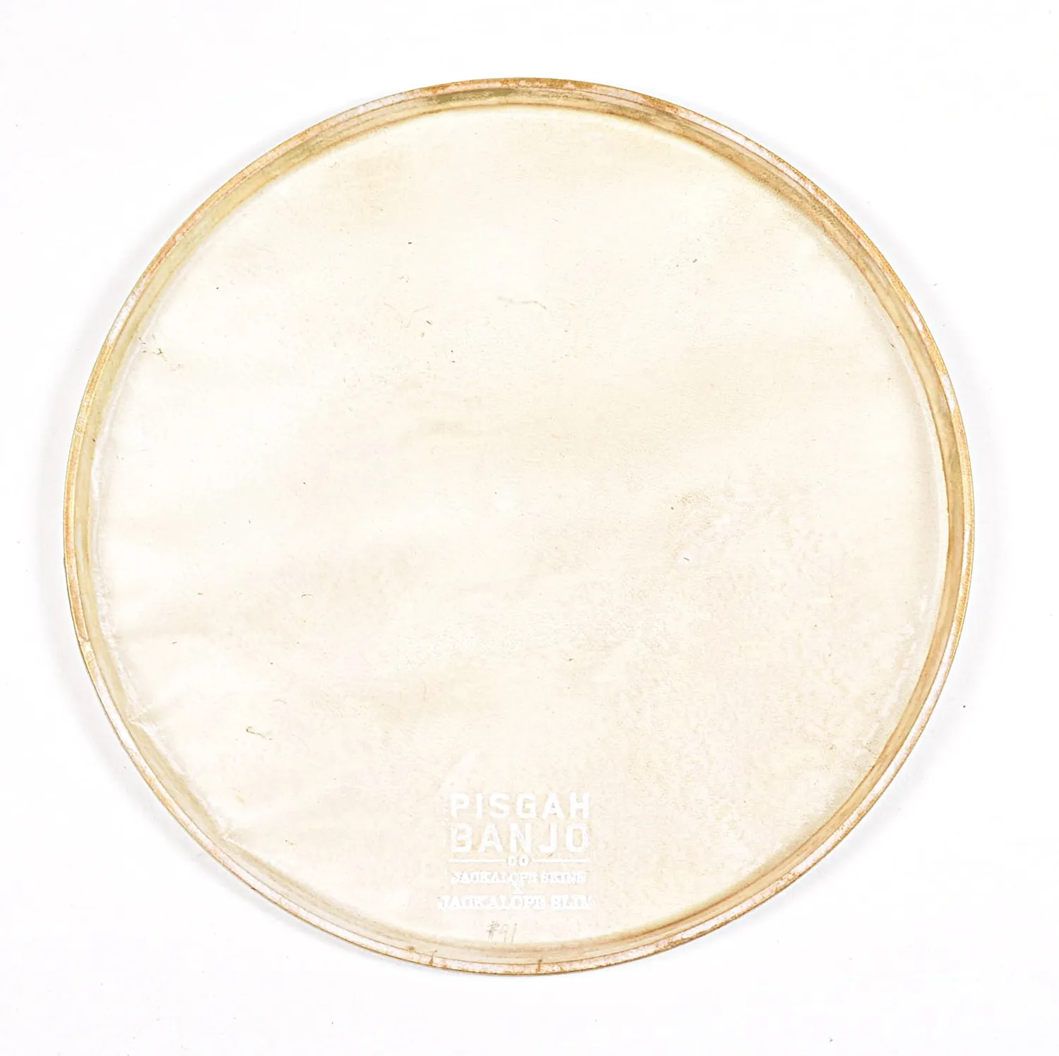 Pisgah JS#41 Banjofell 11 Zoll Kalb translucent vormontiert