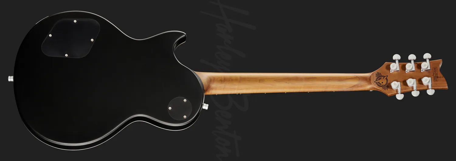Harley Benton Pro Series Agufish STD E-Gitarre Black Satin