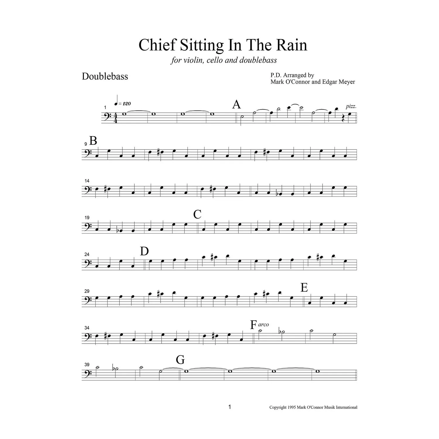Shar Music O'Connor Chief Sitting in the Rain Bass Noten Download