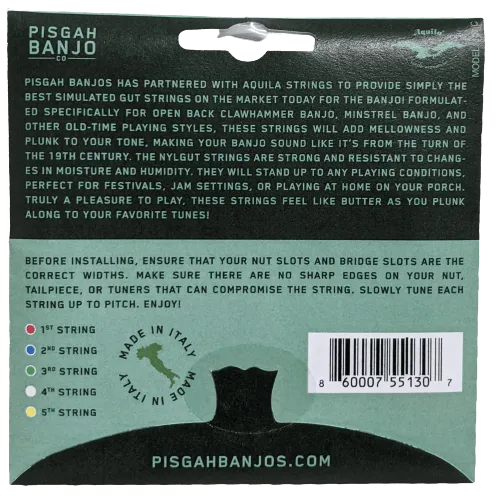 Pisgah Nylgut Frailing Banjo Saiten Satz