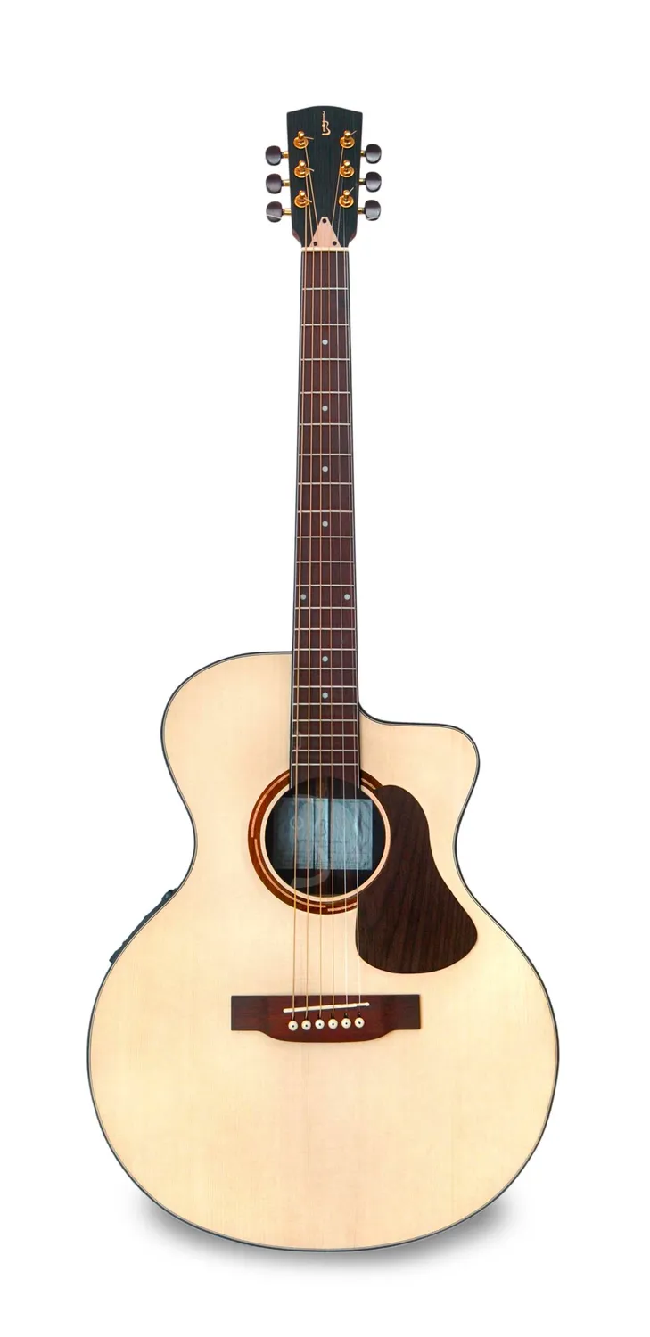 APC EA300 PSI CW Gitarre massiv Palisander
