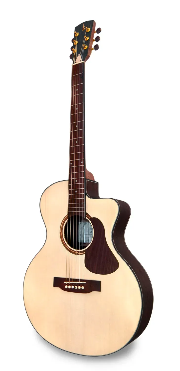 APC EA300 PSI CW Gitarre massiv Palisander