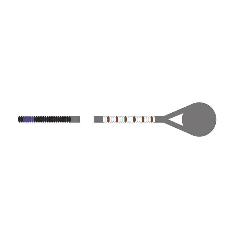 Pirastro Passione Solo Violin A-Saite 4/4 mittel