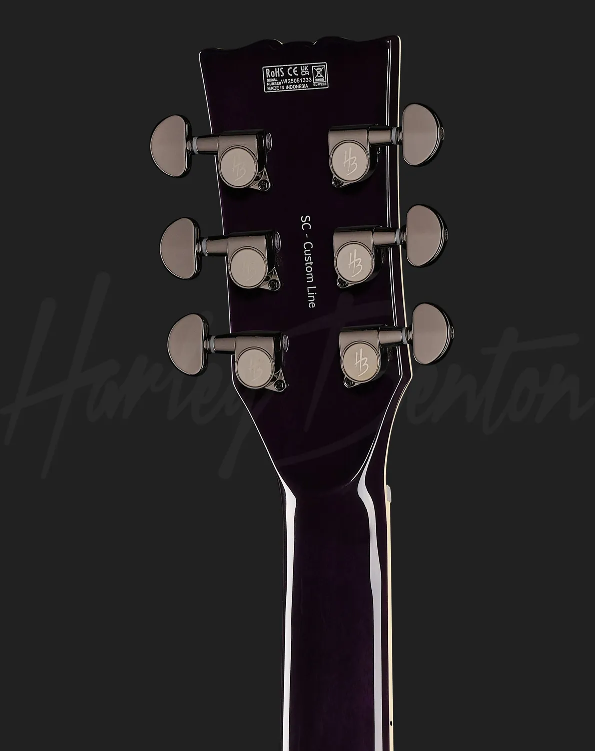 Harley Benton Vintage SC-Custom III E-Gitarre Purple Burst