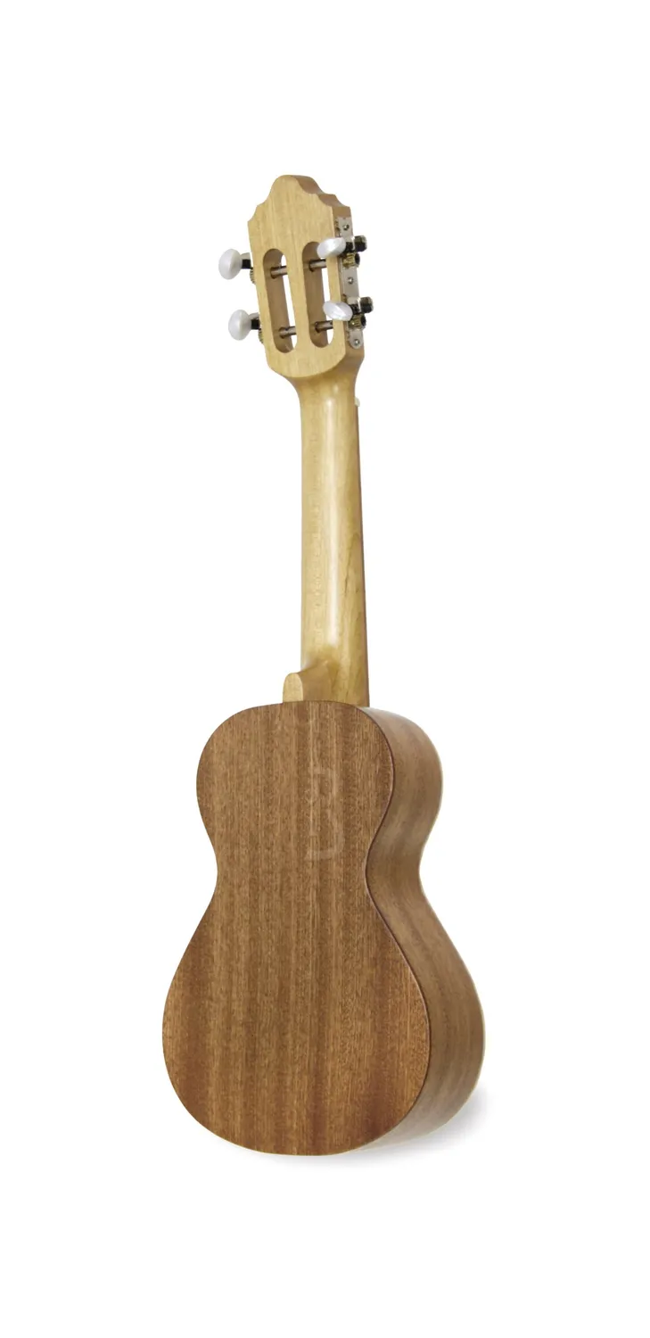 APC 101 Cavaquinho Fichte massiv Sapelli
