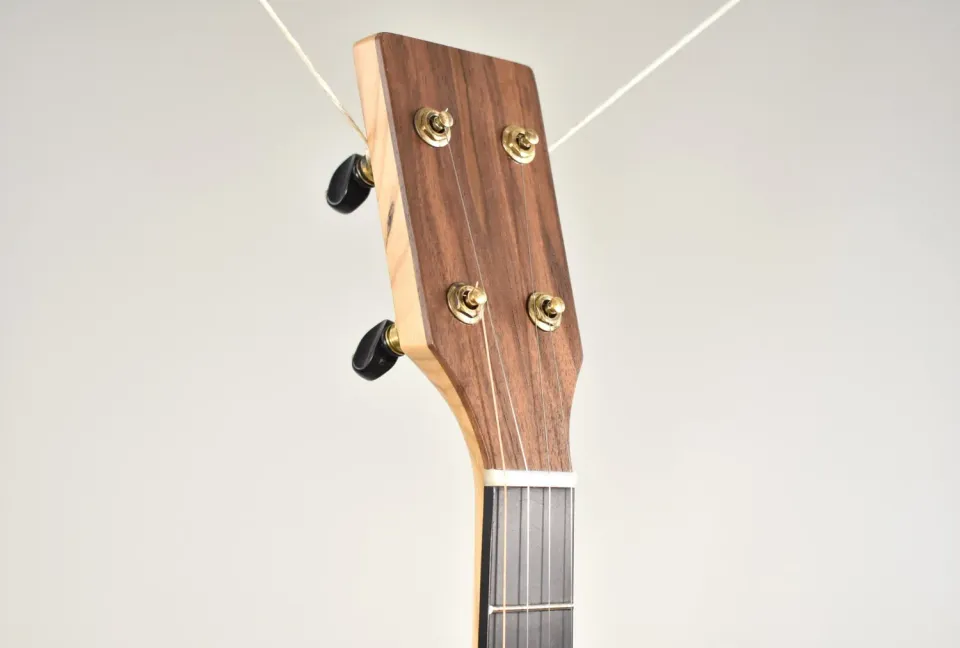 Pisgah Roscoe Round Peak Banjo Walnuss