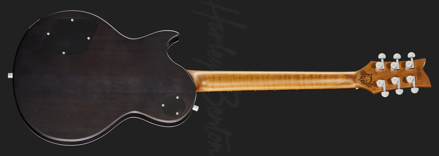 Harley Benton Agufish Custom Signature PB LTD E-Gitarre Purple Blast