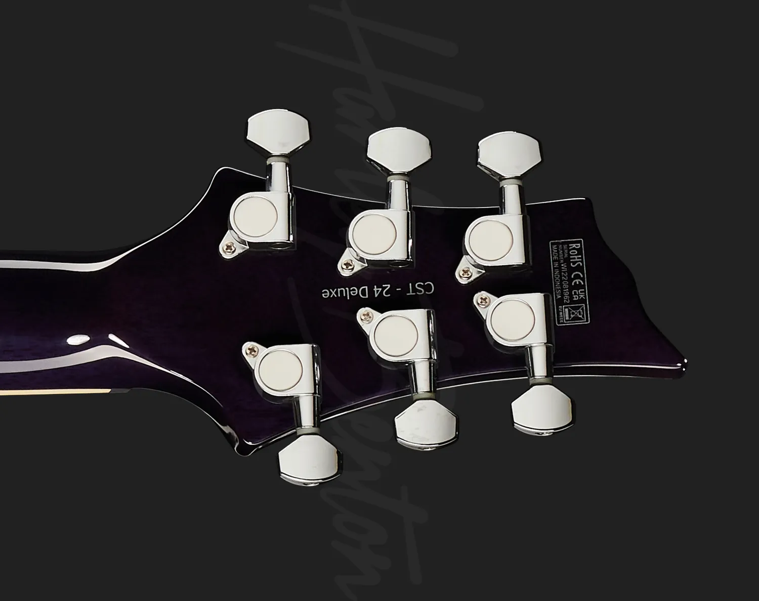 Harley Benton Deluxe CST-24T E-Gitarre Purple Burst 24 Bünde