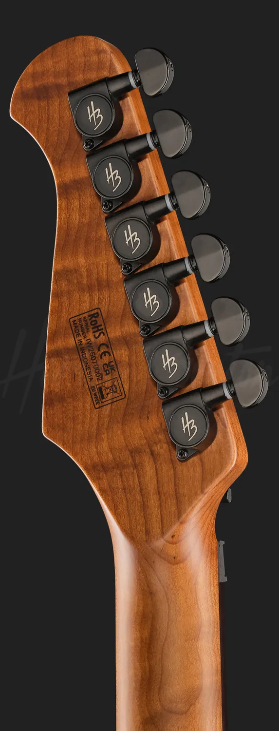 Harley Benton Progressive Fusion-IV HH RW FR BM E-Gitarre Floyd Rose