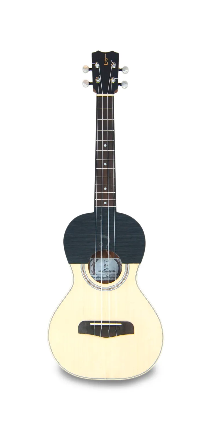 APC GUI307 Akustikgitarre Fichte massiv