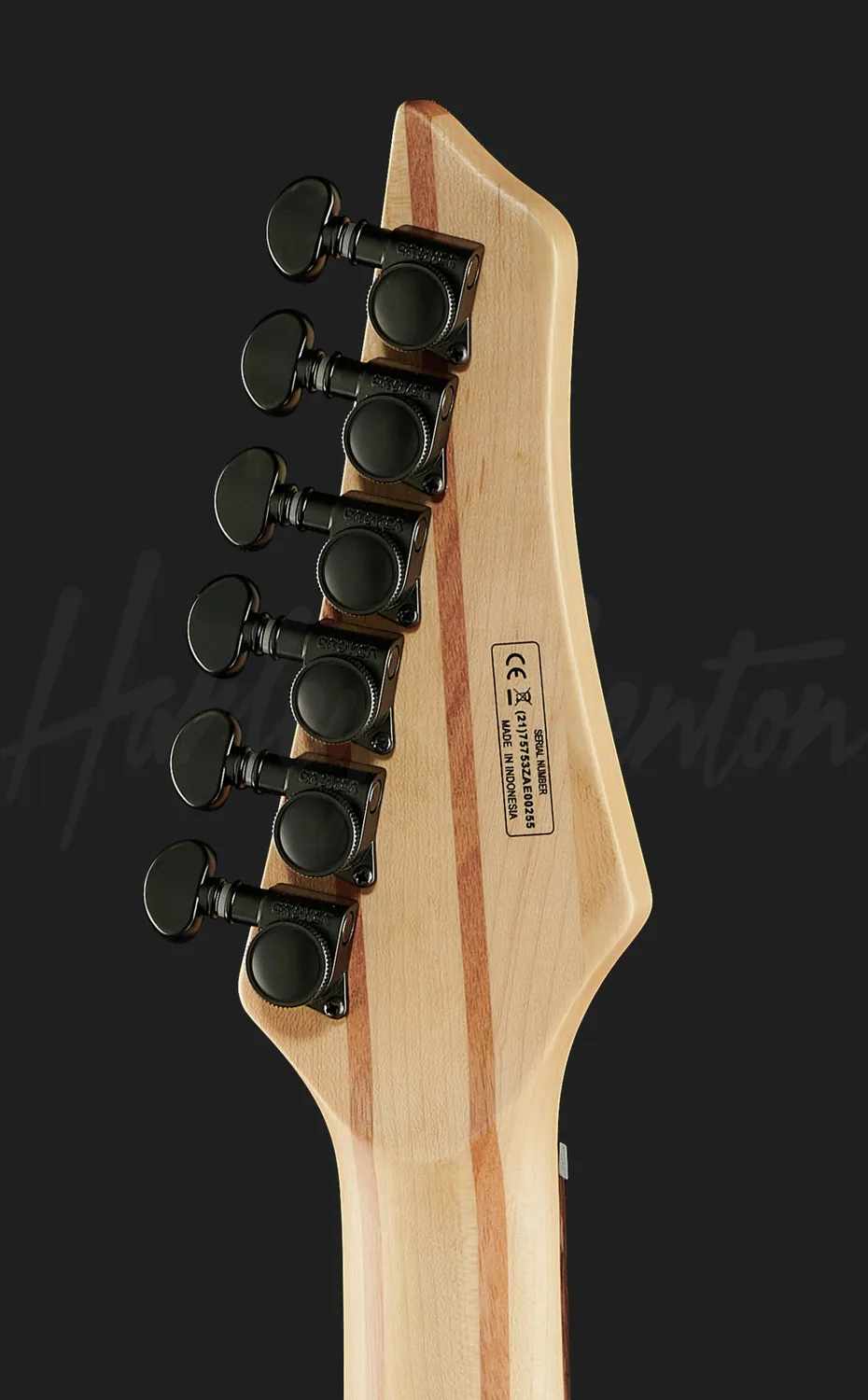Harley Benton Amarok-6 BKNT E-Gitarre Flame Burst