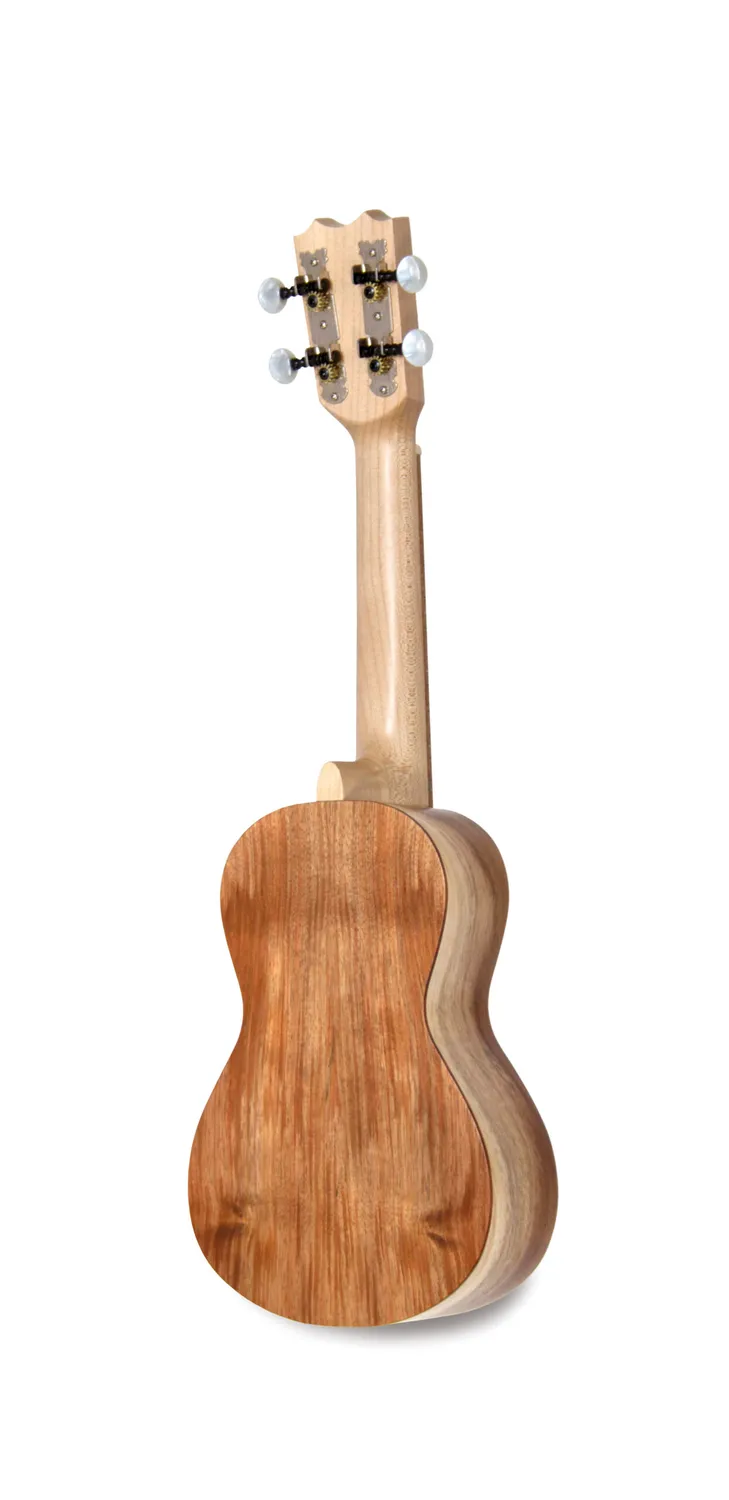 APC instruments SS Saiteninstrument Koa massiv offenporig