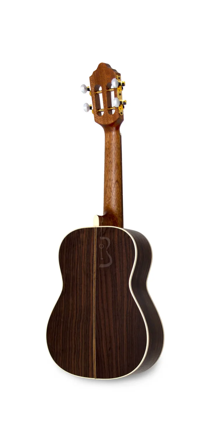 APC CV Luthier Cavaquinho Fichte Palisander massiv