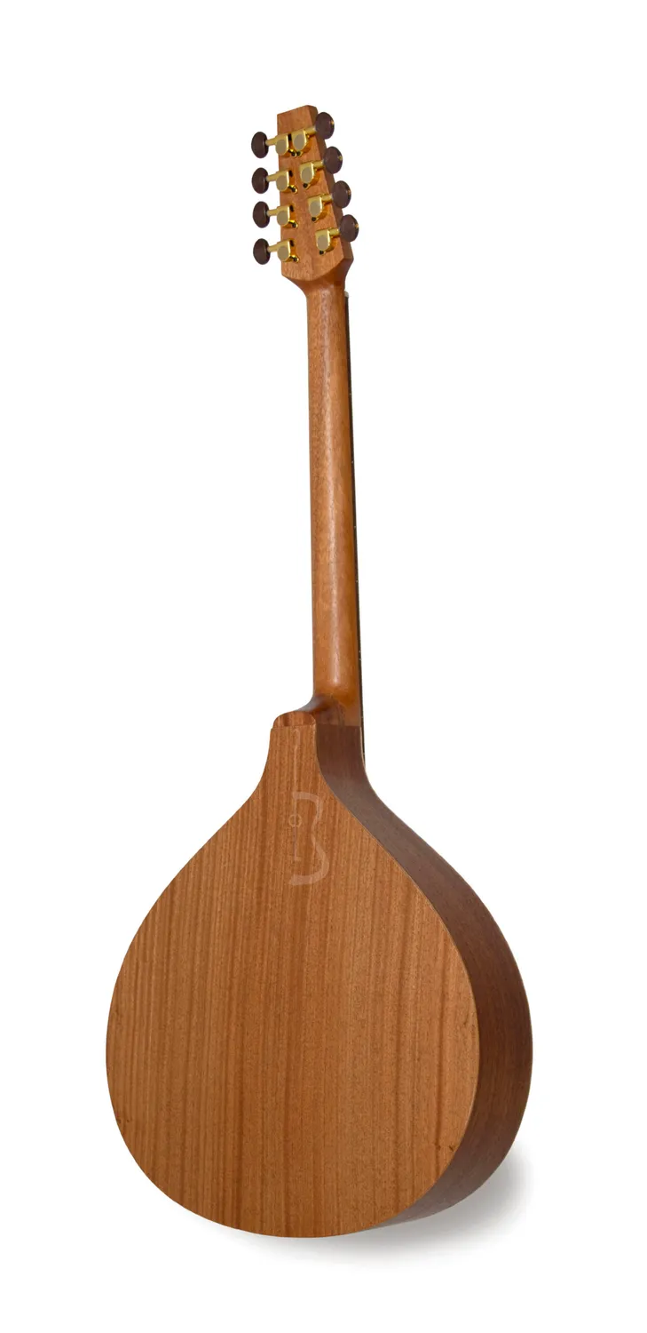 APC PTB305 Bouzouki Fichte massiv Sapelli