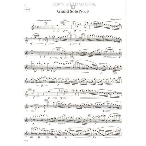 Suzuki Flute School Volume 10 Querflötenstimme Noten