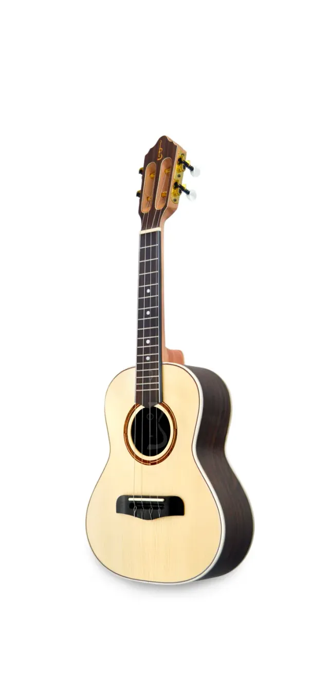 APC Luthier Klassikgitarre massiv Palisander