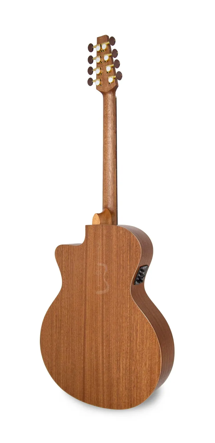 APC EABZK100 CW Bouzouki Cutaway