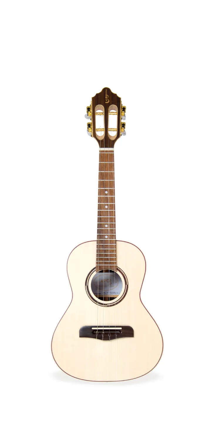 APC BRO Luthier Cavaquinho Palisander massiv