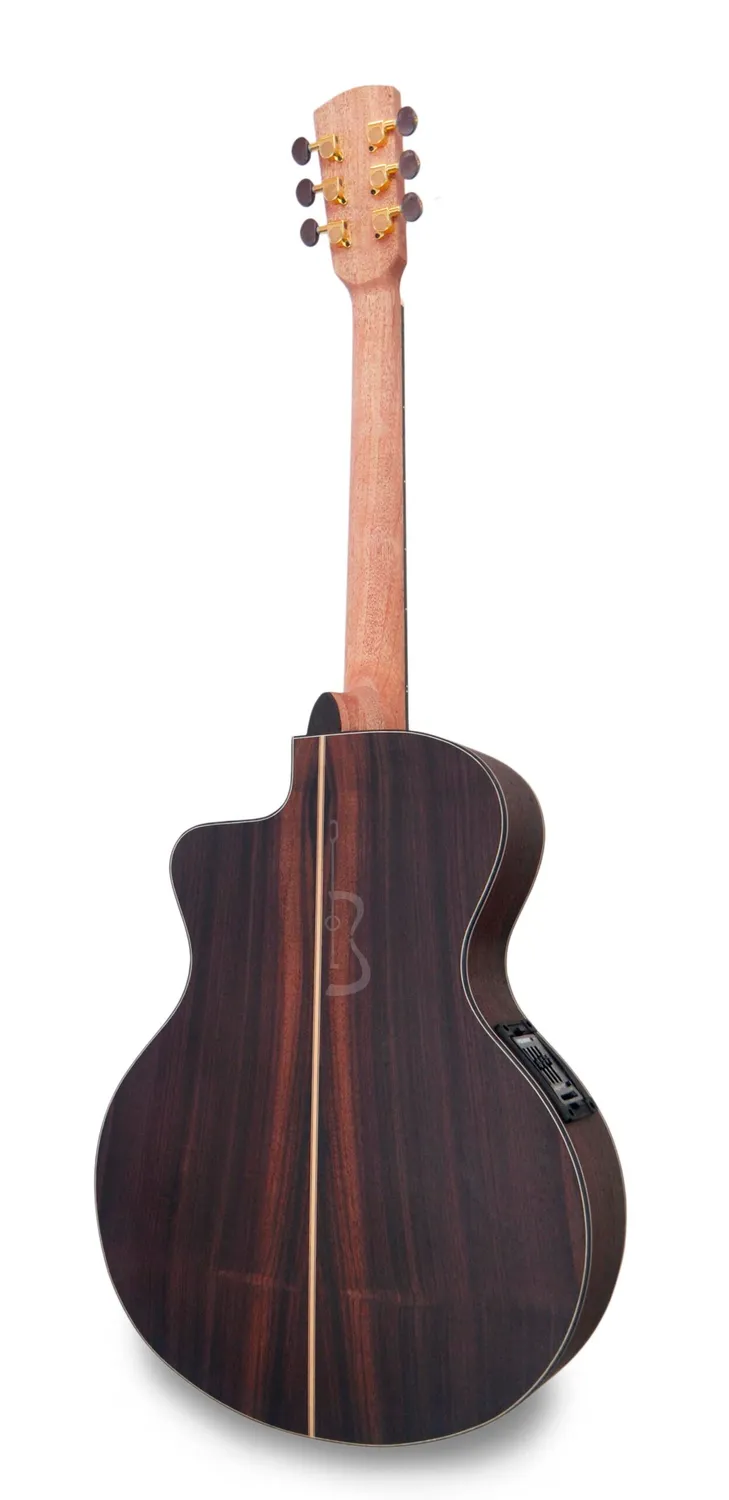 APC EA300 PSI CW Gitarre massiv Palisander