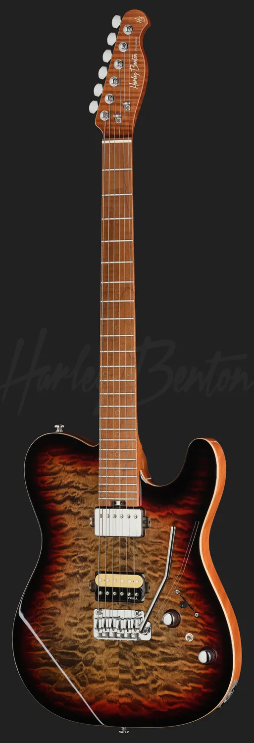 Harley Benton Progressive Fusion-T II HH E-Gitarre QDG