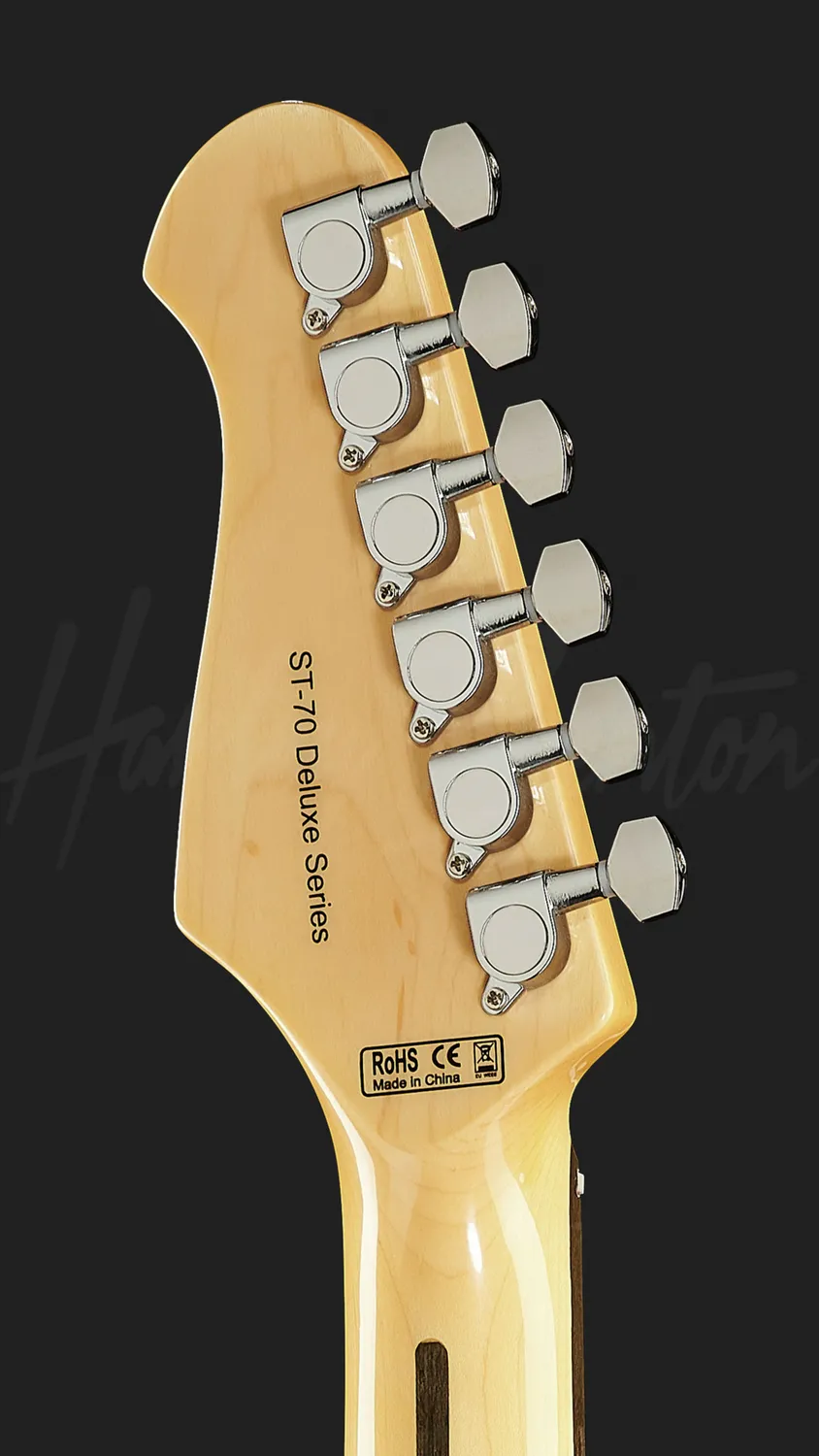 Harley Benton Classic ST-70 E-Gitarre Black Paisley