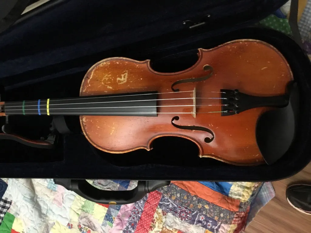 Shar Music Rental Geige 4/4 gebraucht Spirituslack