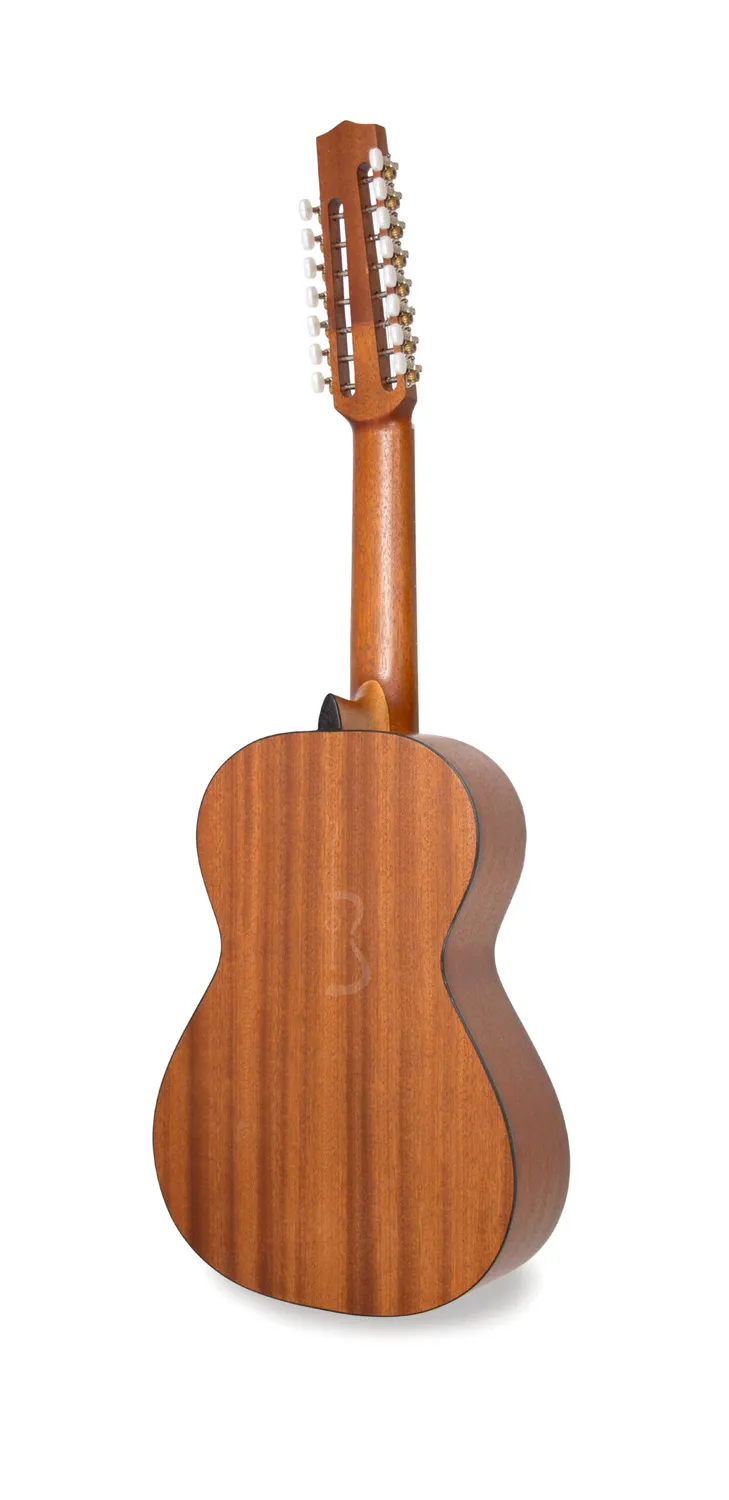 APC VTR T15 Viola Fichte Sapelli 10-saitig