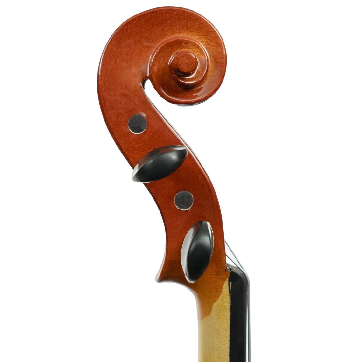 Shar Franz Hoffmann Amadeus Geige 4/4 Ahorn