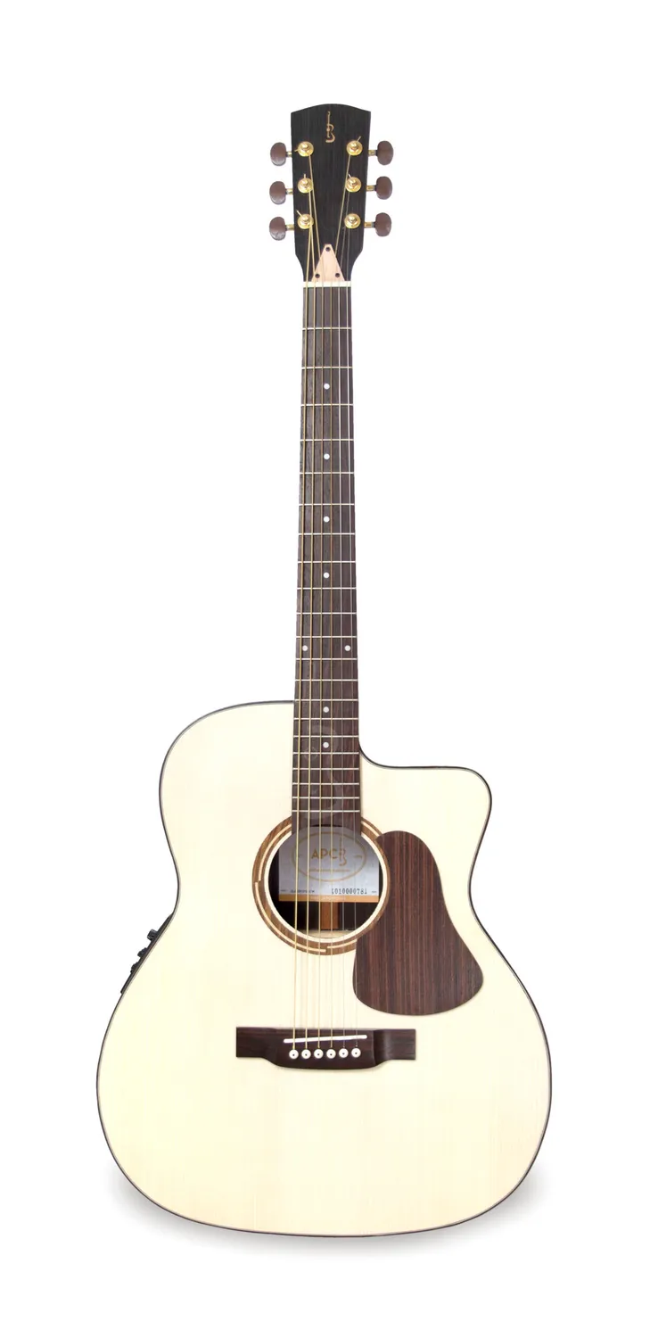 APC GA300 PSI CW Westerngitarre Palisander Cutaway