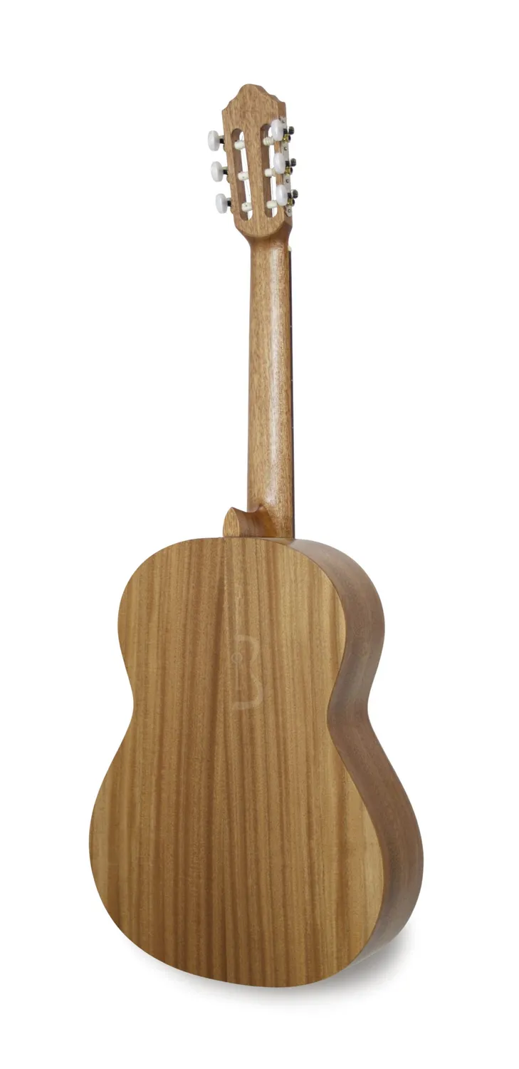 APC 1S OP Gitarre Mahagoni offenporig
