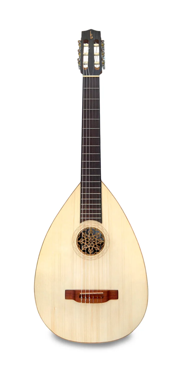 APC LUTG 306 Gitarre Walnuss massiv