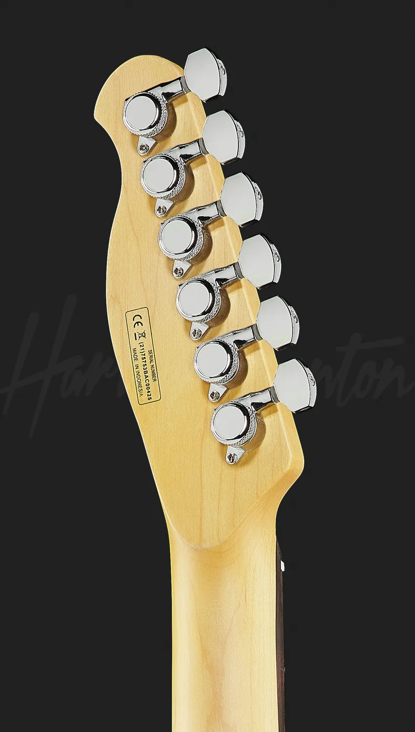 Harley Benton Fusion-T HH EB BK E-Gitarre Schwarz Tremolo