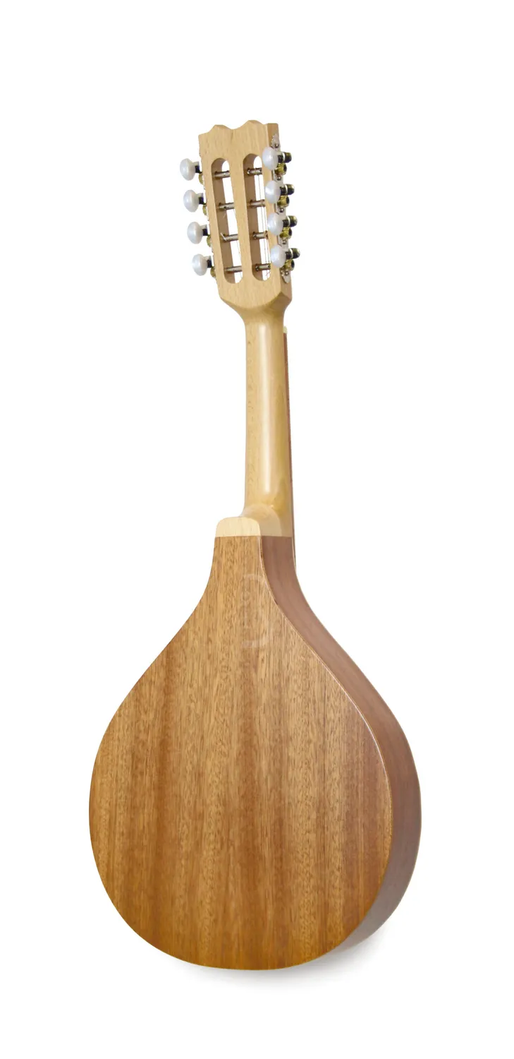APC MDL305 Mandoline Fichte Sapelli offenporig