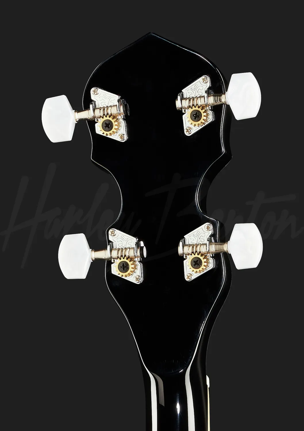 Harley Benton HBJ-24 Tenor-Banjo Short Scale Sapele