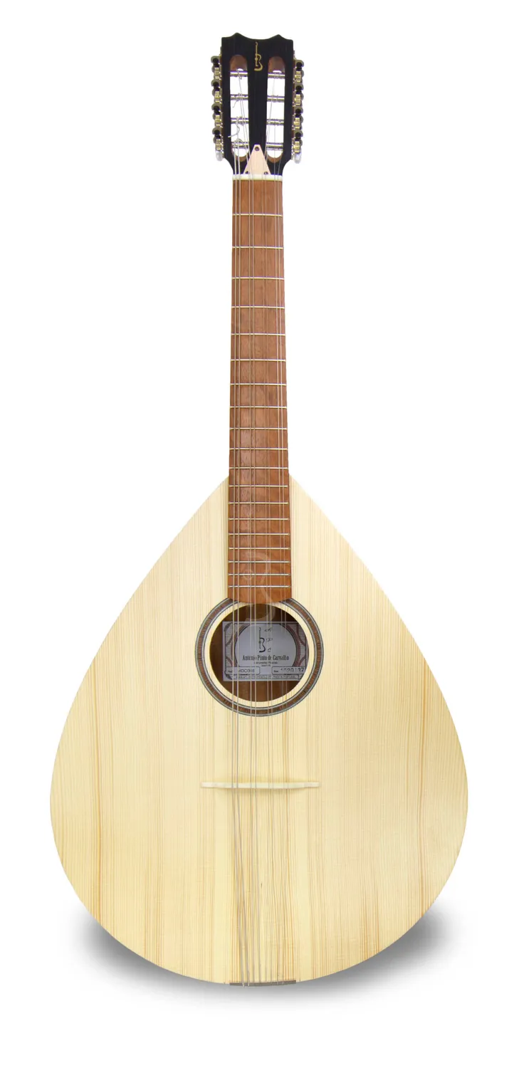 APC MDO305 Mandola Fichte massiv