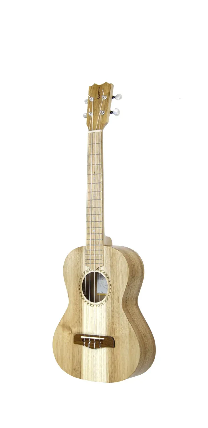 APC TS Tres Koa massiv