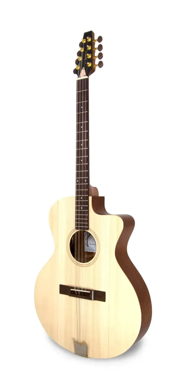 APC EABZK100 CW Bouzouki Cutaway