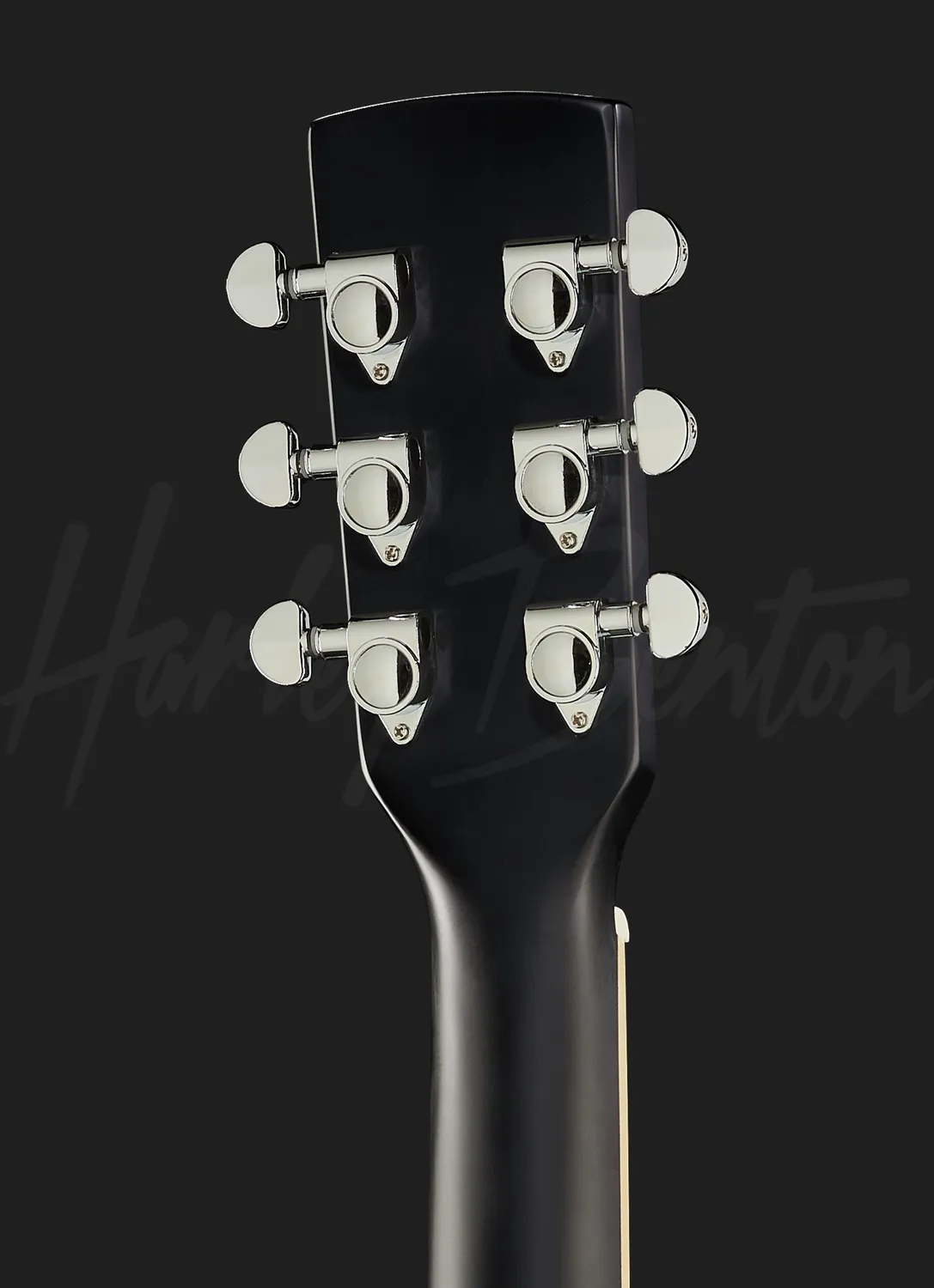 Harley Benton Santos CLN-150CE Resonatorgitarre Schwarz Spider
