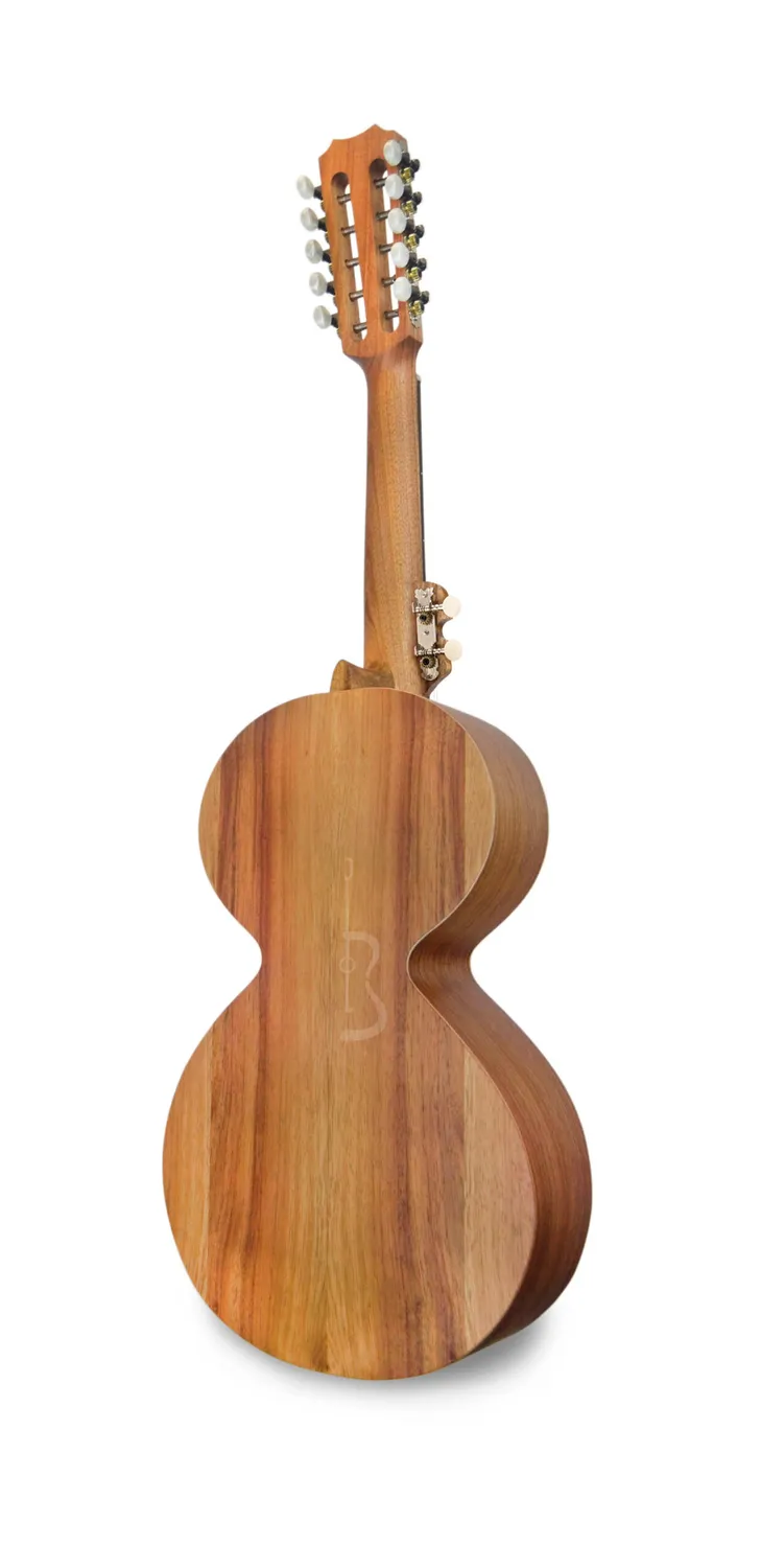 APC VTR BEI Portugiesische Viola Fichte Sapelli