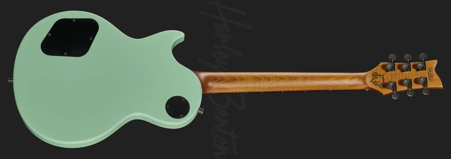 Harley Benton Agufish STD Signature E-Gitarre Seafoam Green Satin