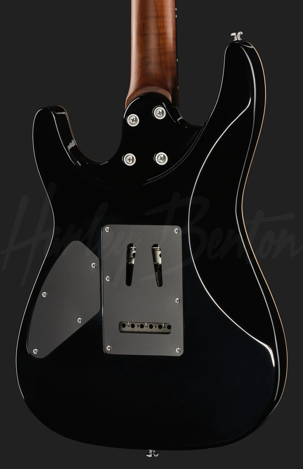 Harley Benton Progressive Fusion-IV E-Gitarre Dusk Glow Palisander