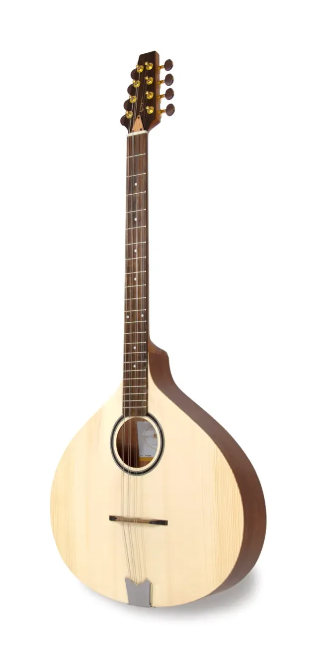 APC PTB305 Bouzouki Fichte massiv Sapelli