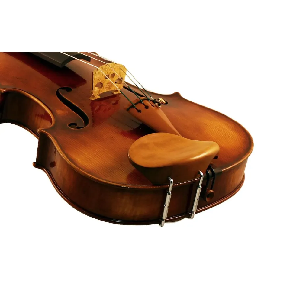 Gordon Viola Kinnhalter Buchsbaum hoch 28 mm